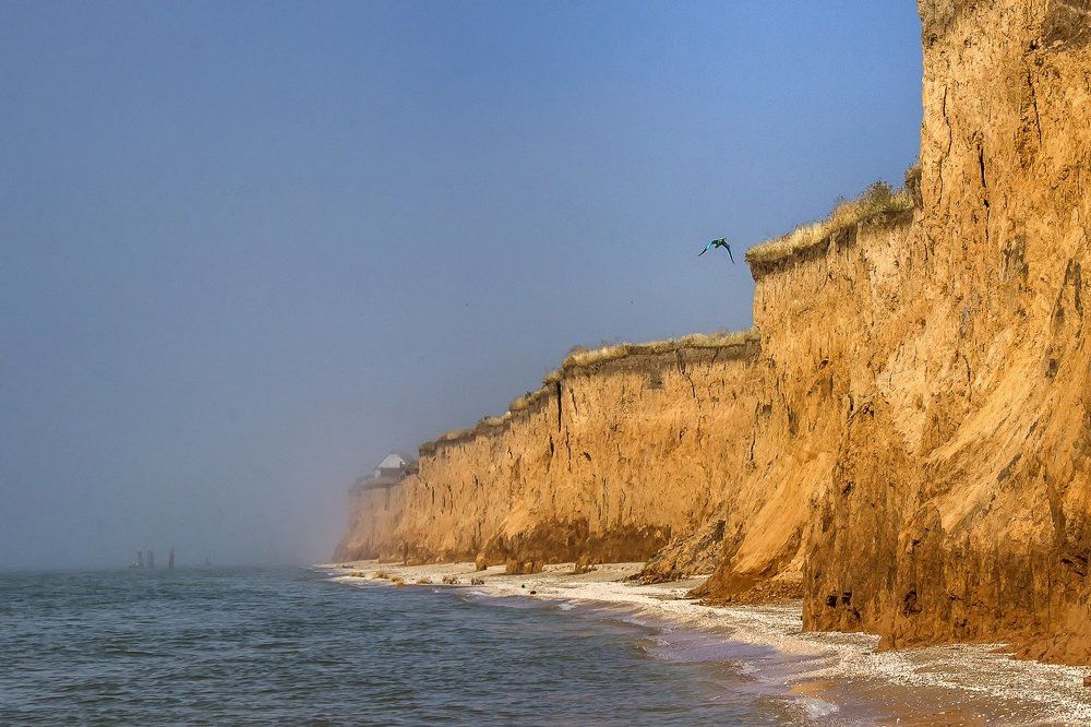 Синяя птица