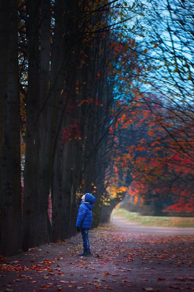 Photograph by Екатерина Плавская