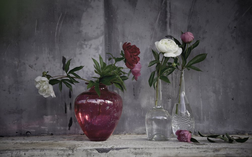 still life in summer