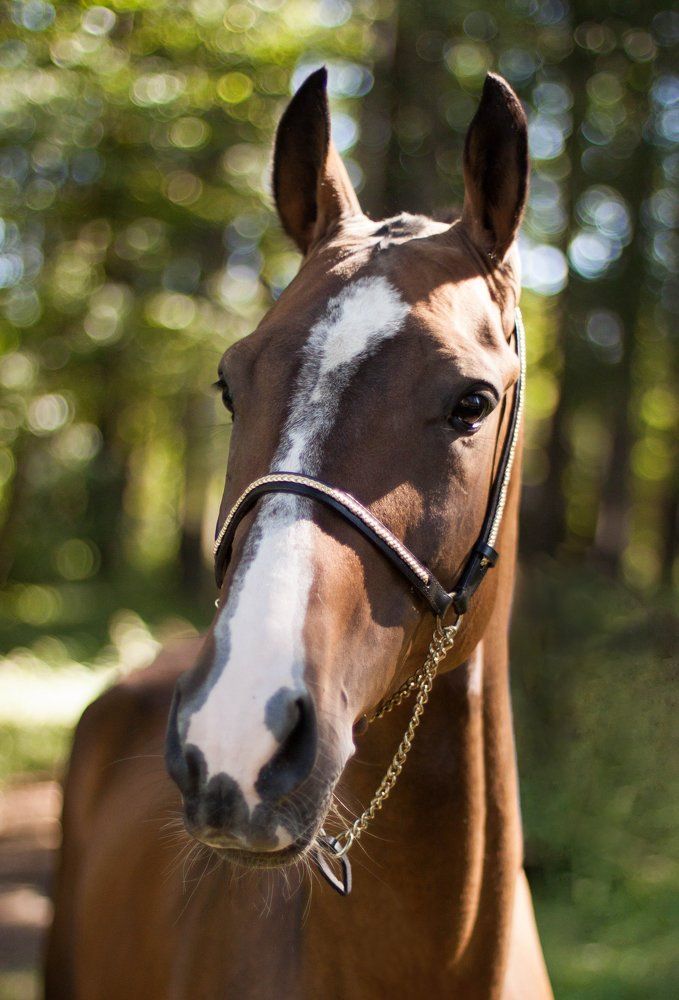 Photograph by Станислав