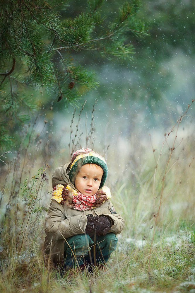 Зайка под кустом