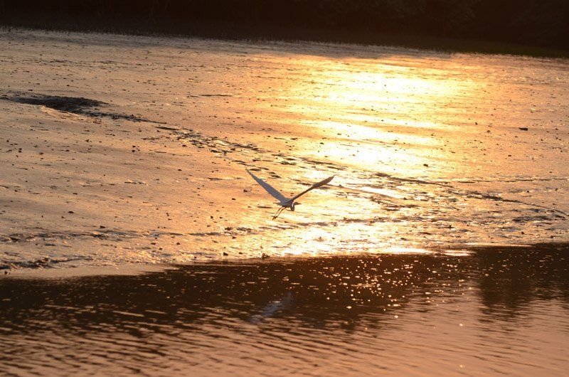 sunil kumar mukhopadhyay, India