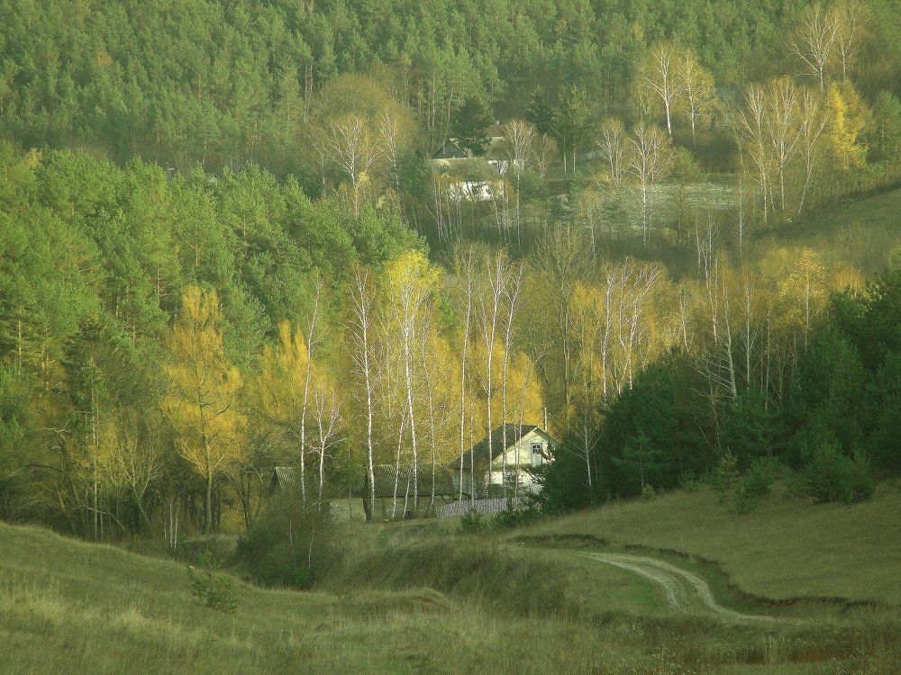 Вишнівеччина. Мальовничі місця. Село Чайчинці.