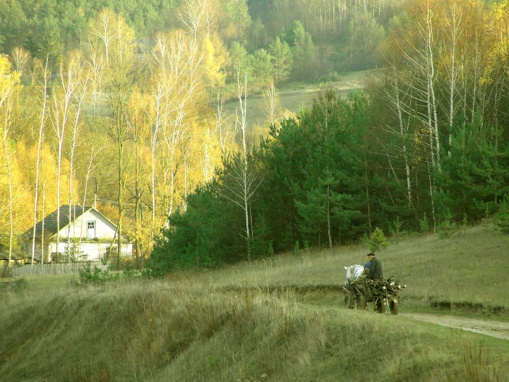 "Будні сільського життя"
