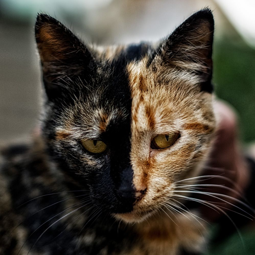 Photograph by Хасбулат