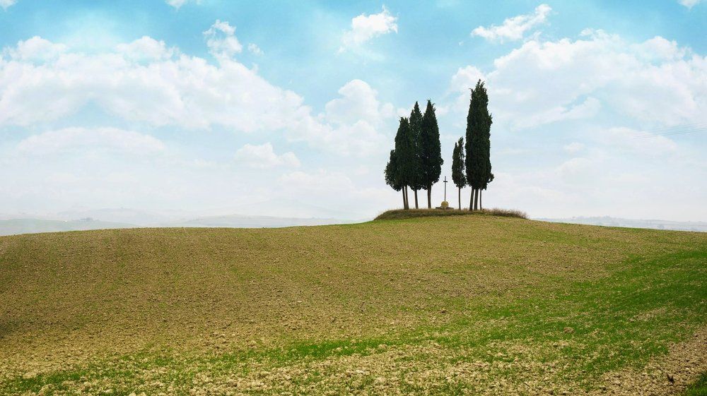 ОКТЕТ. Из серии "Toscana - amore mio"