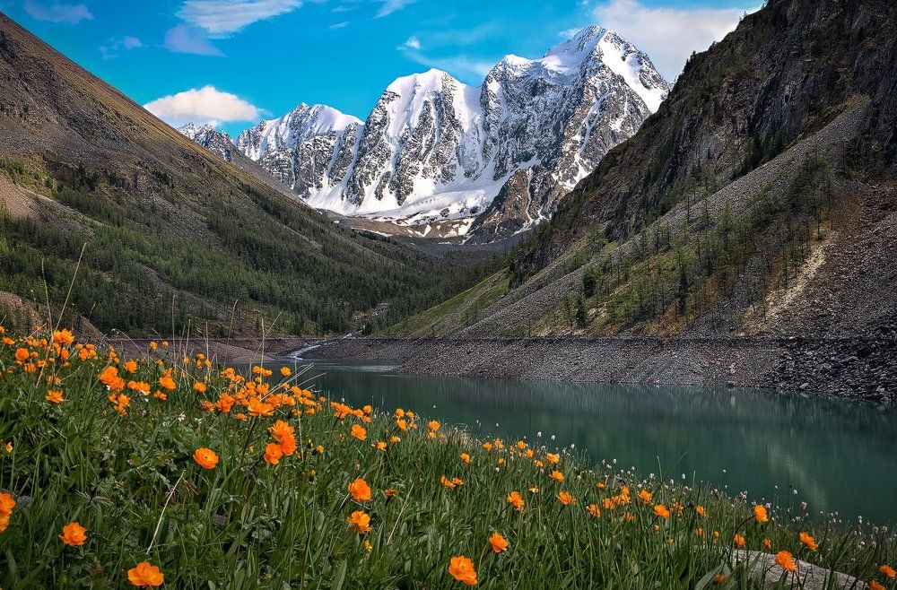 Мечта, Сказка и Красавица