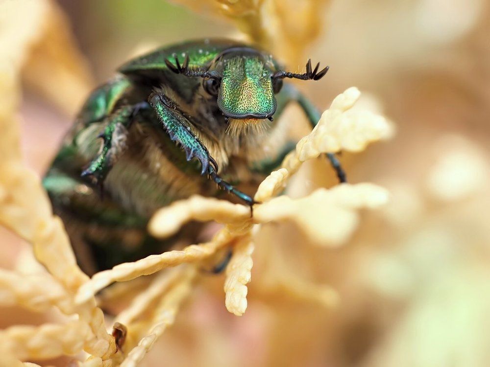 Как пройти в библиотеку?