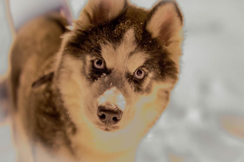 Photograph by Виктор Князькин