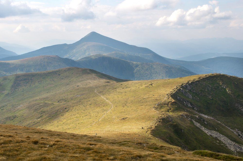 Извиваясь и кружась