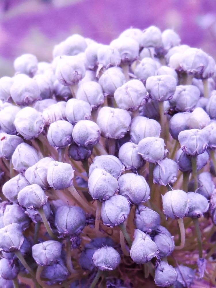 Photograph by татьяна