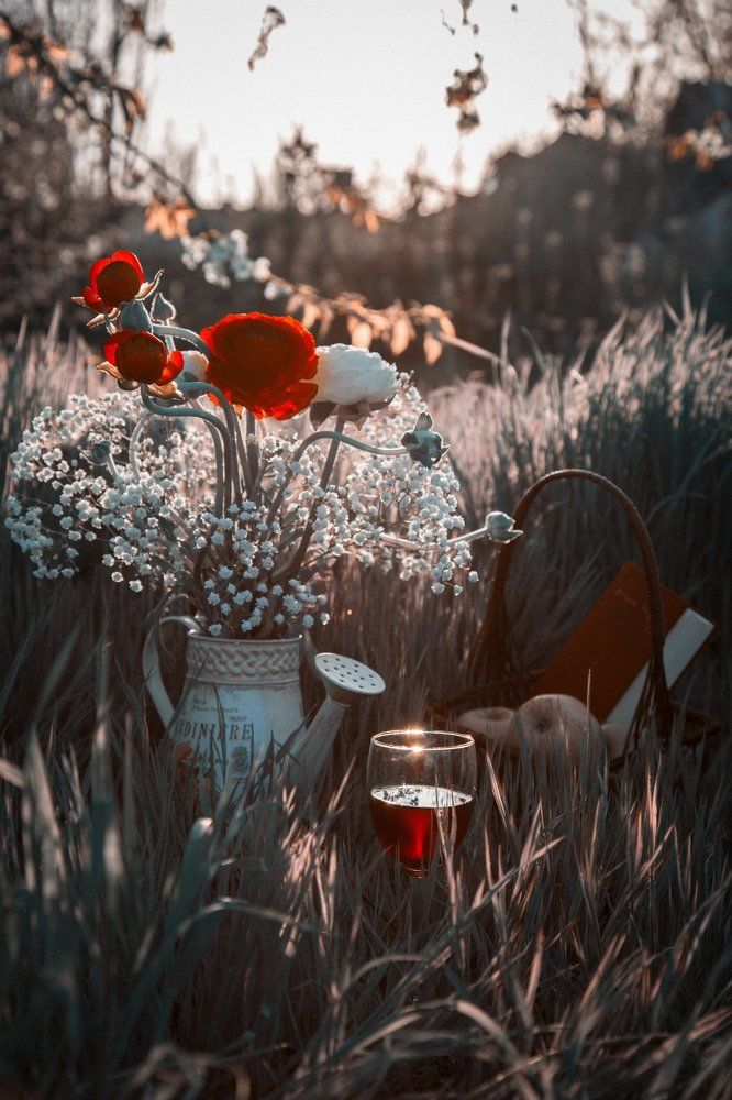 Последний вечер лета