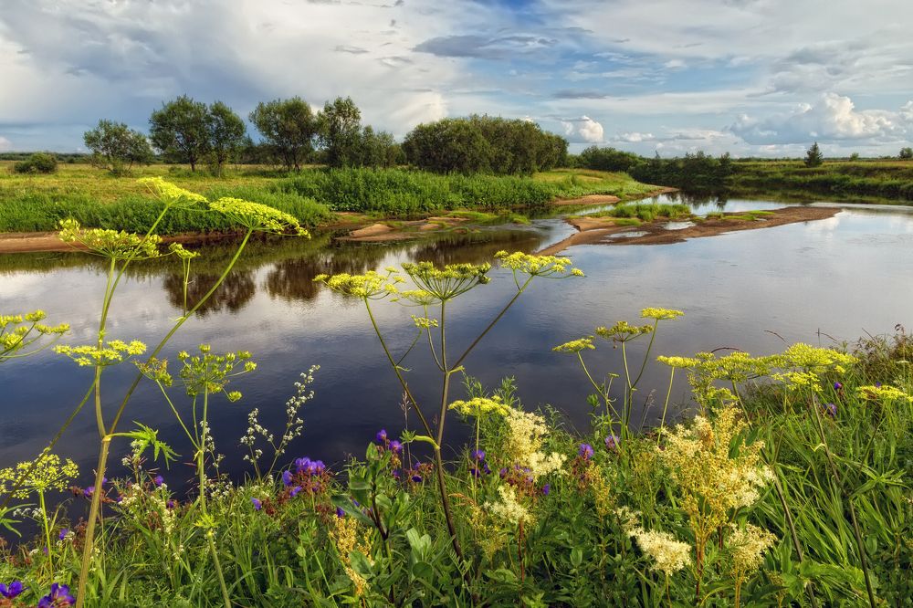 Середина лета