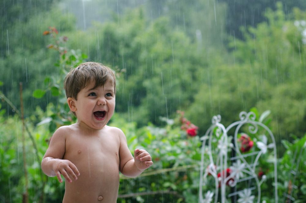 Долгожданный дождь