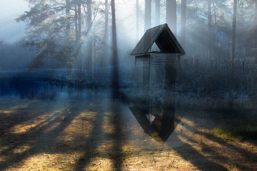 Photograph by Анна Кудрявцева