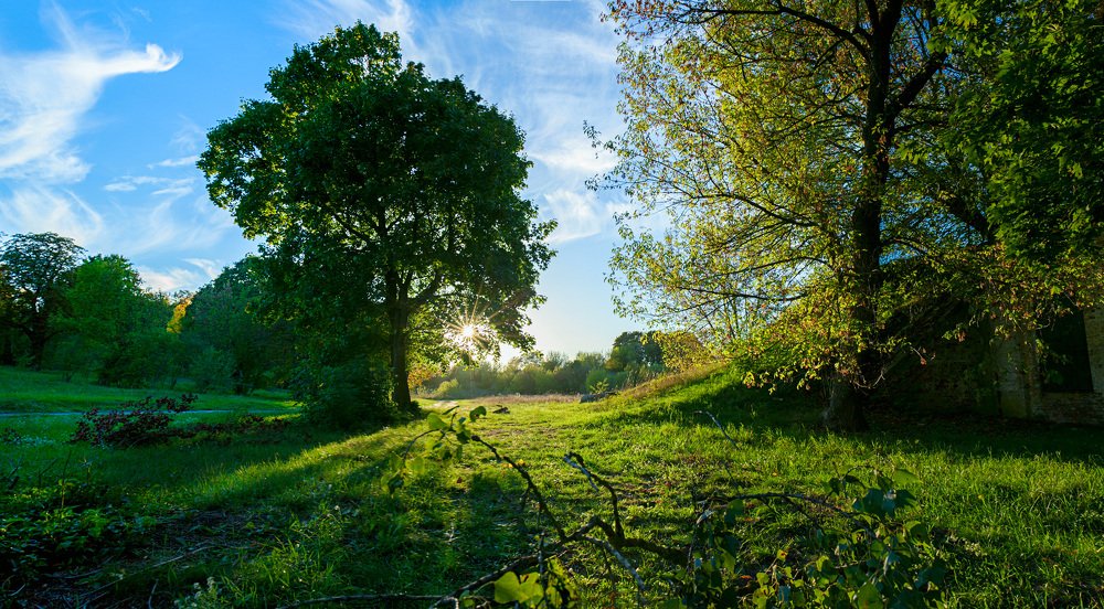 Photograph by Артём Будник