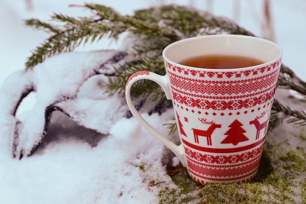 Светское утро