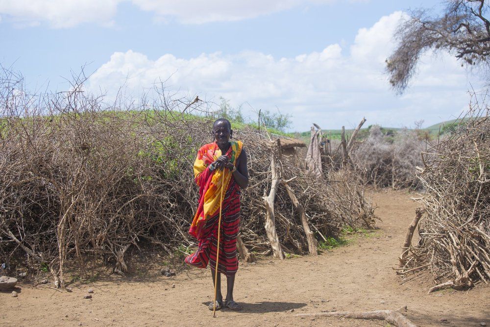 old black man from the tribe of the Maasai in natural African village