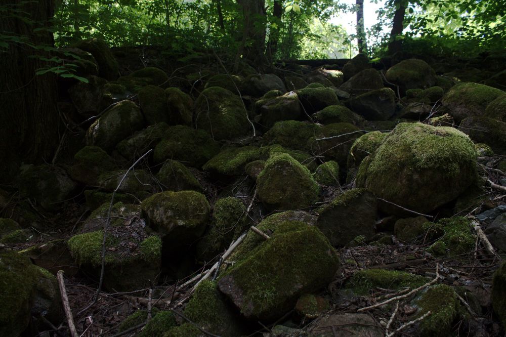 Развалины водяной мельницы