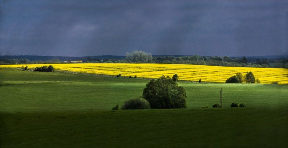 За окном автобуса