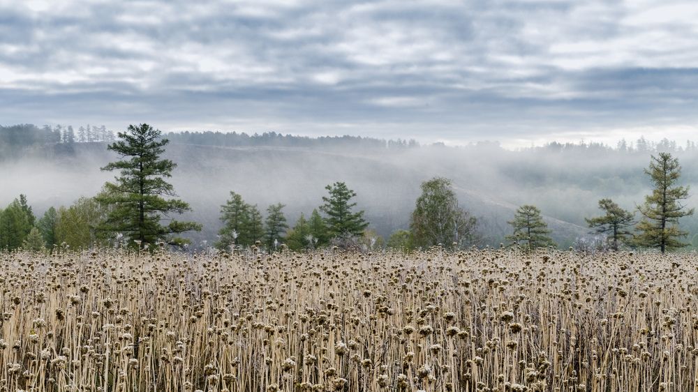 Морозное утро в уральских предгорьях