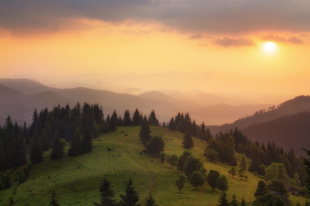 Золото рассвета