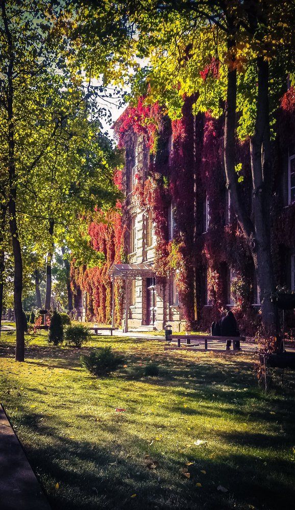 Осень в городе