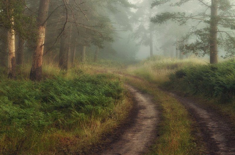 Tatiana Shchepotina, Russia