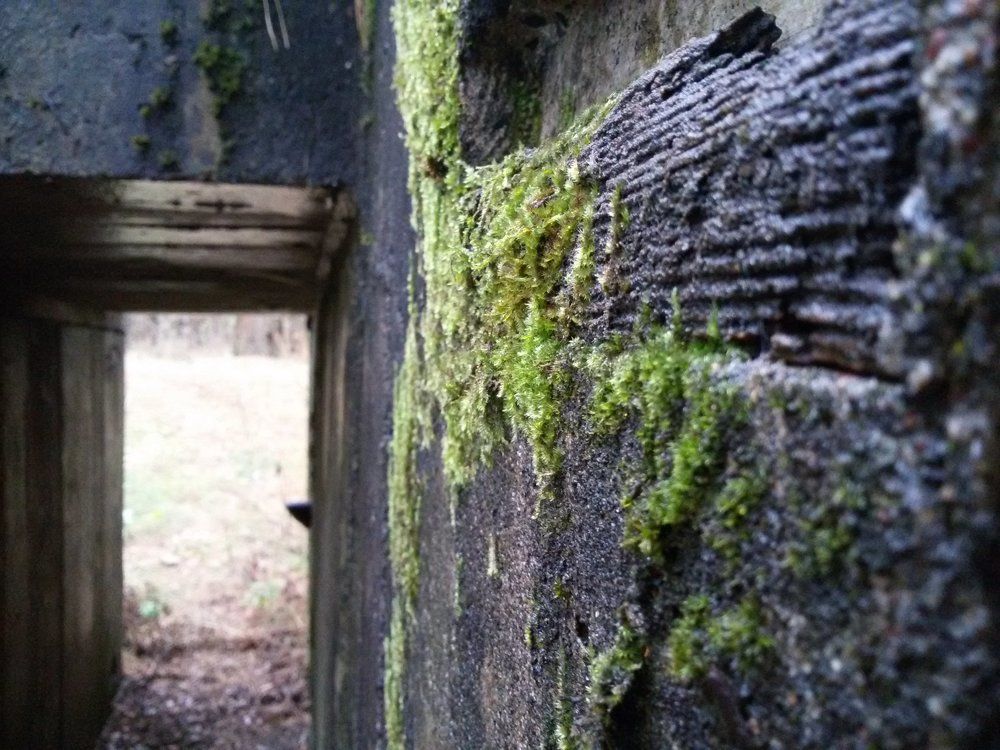 забытое прошлое