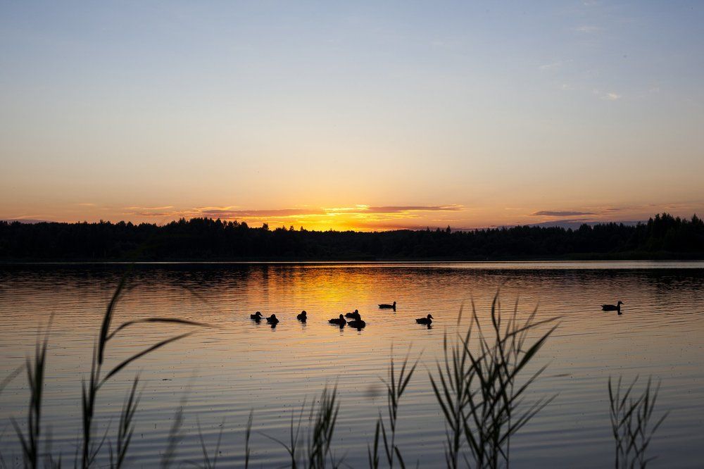 Вечерний закат