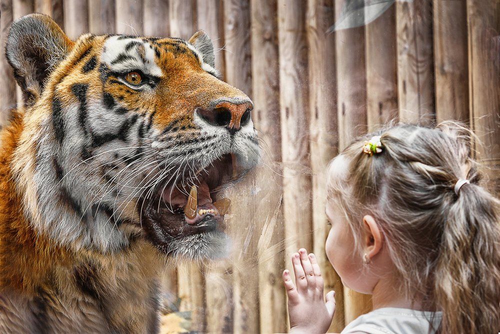 Не подходите, дети, близко!