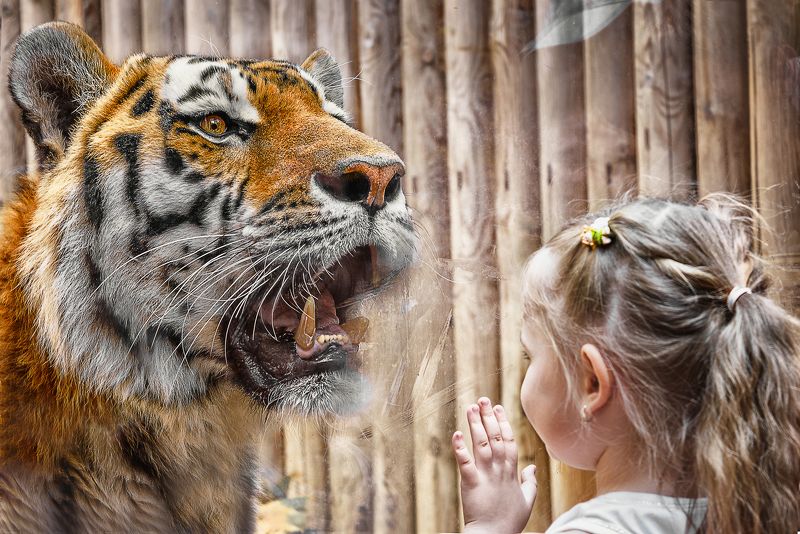 Tatyana Mikhaylova, Russia