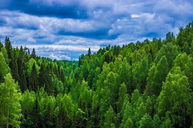 Илья Дианов, Russia