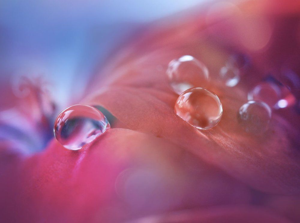 Photograph by Кабыжакова Валерия