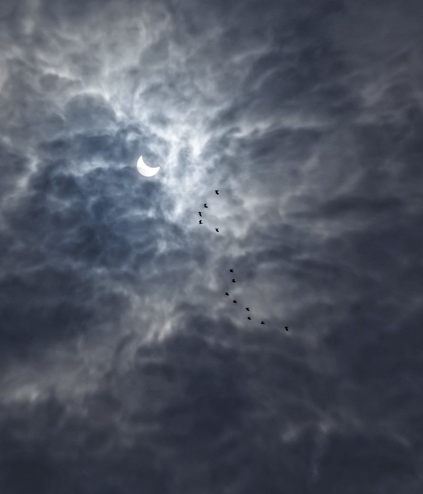 солнечное затмение