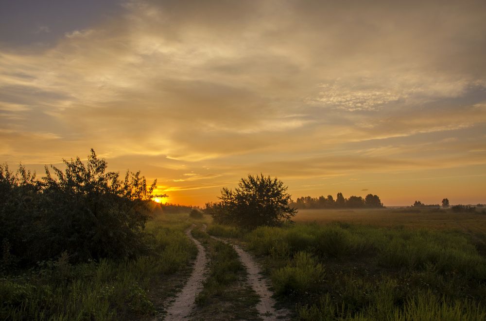 Дорога на рассвет