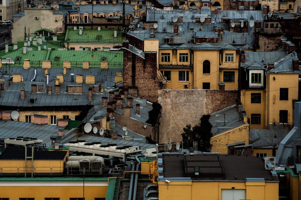 Photograph by Дина