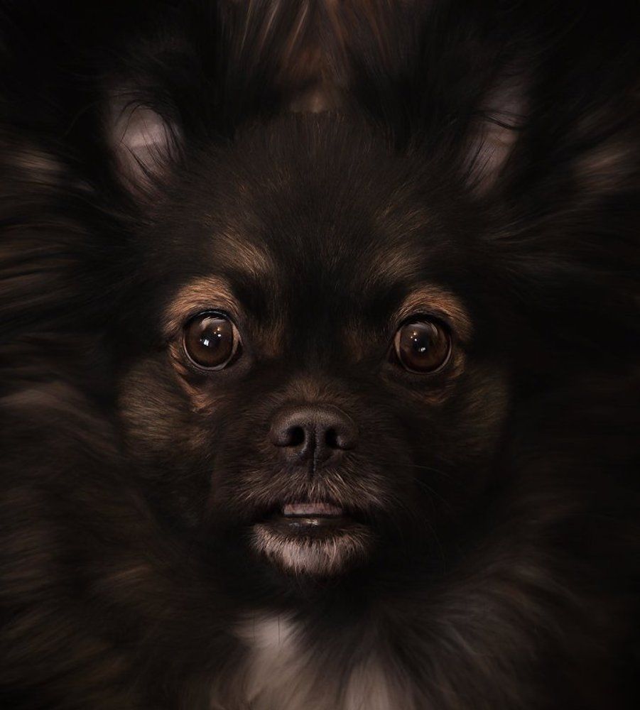 Photograph by Оксана