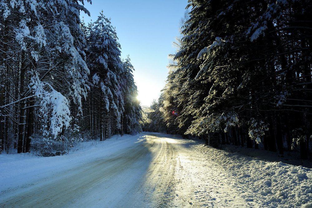 На встречу солнцу!