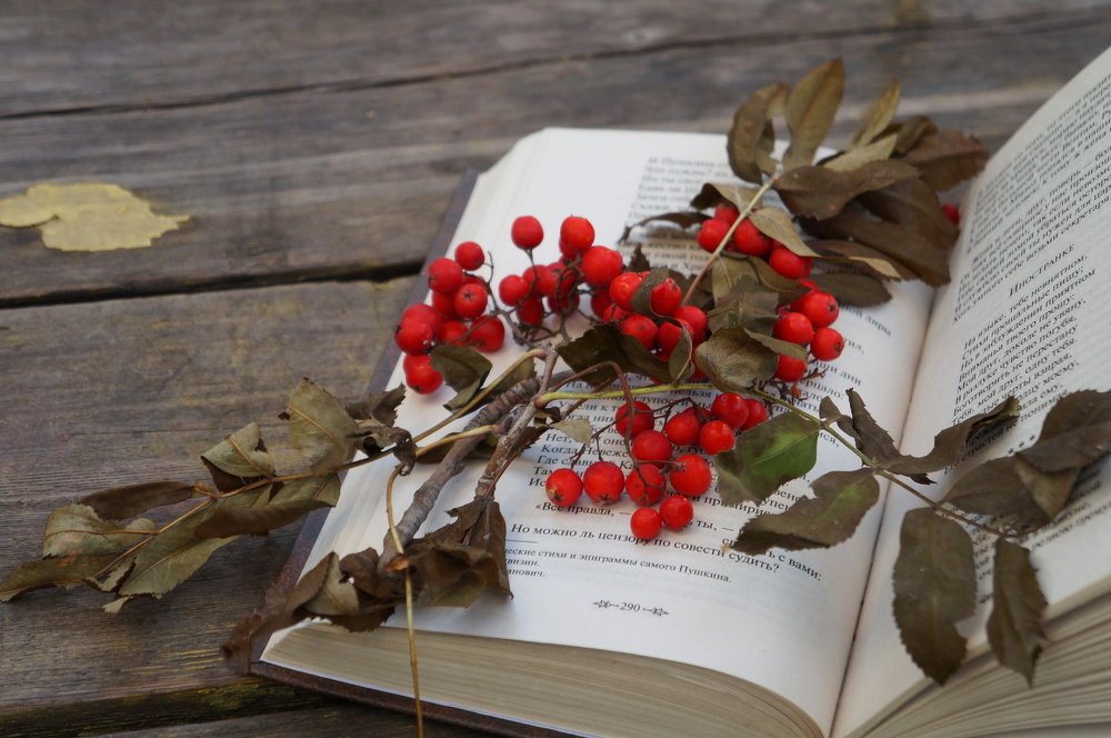 Photograph by Анастасия Шайдорова