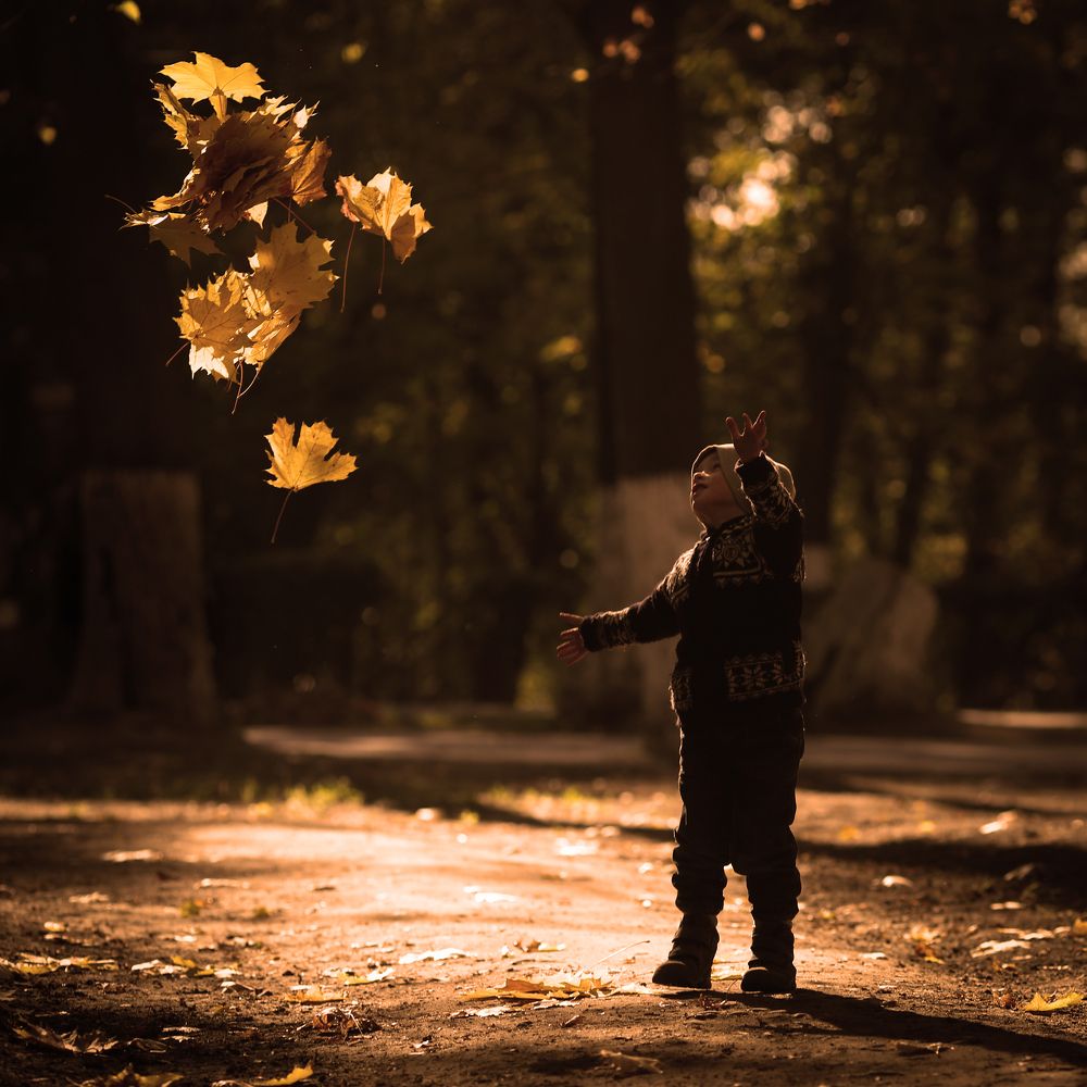 Листья в небо отпустить