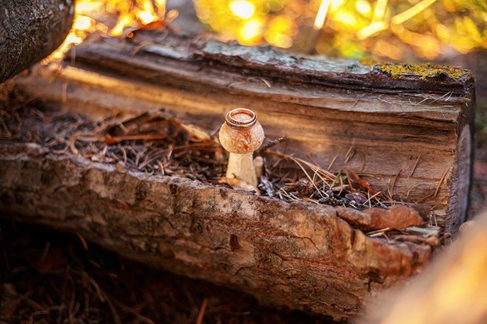 Photograph by Олеся Суровых