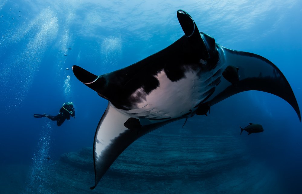 Ванна с пузырьками