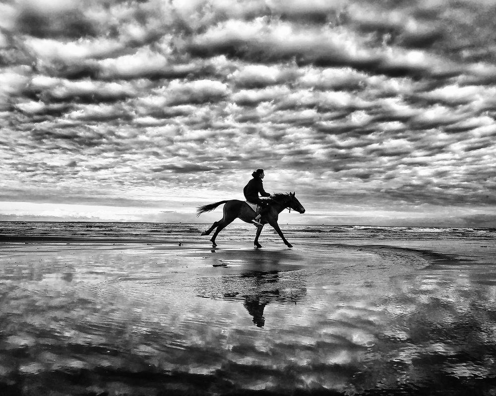 Photograph by Qmars Khoshsefat