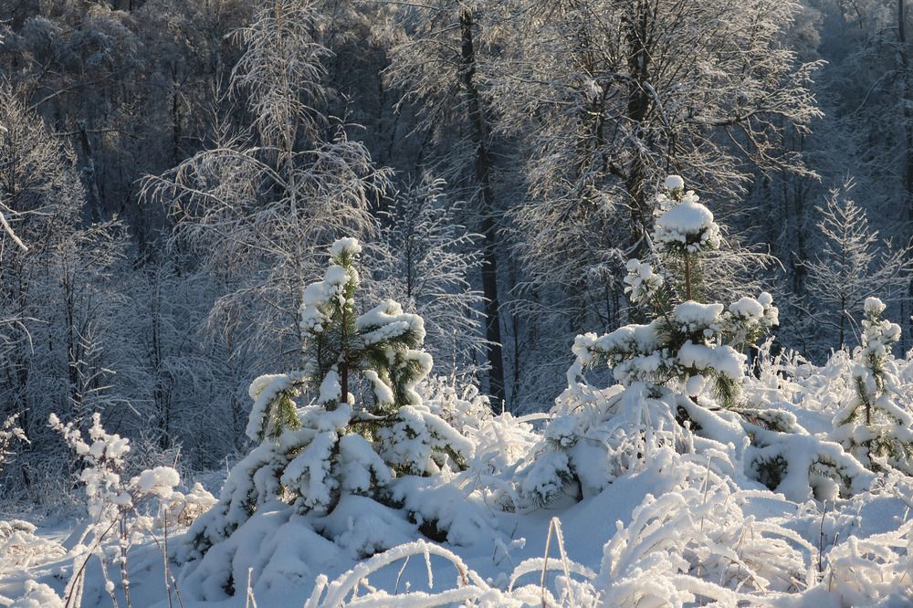 Photograph by Ильсияр Григорьева