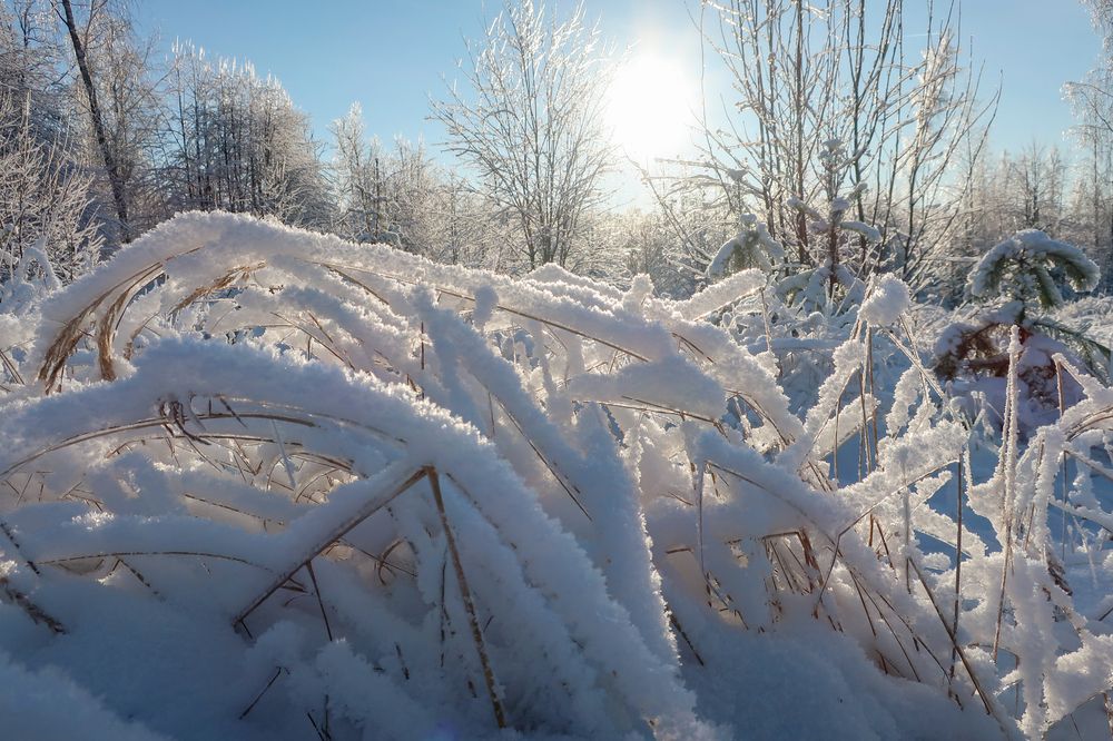 Photograph by Ильсияр Григорьева