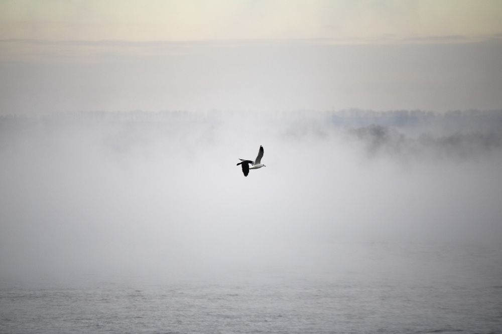 Photograph by Наталья Мершина