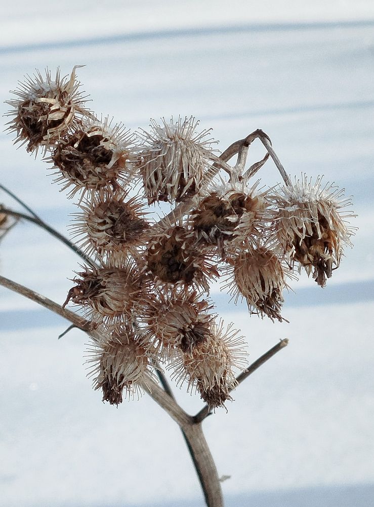 Photograph by Елена Алешкевич