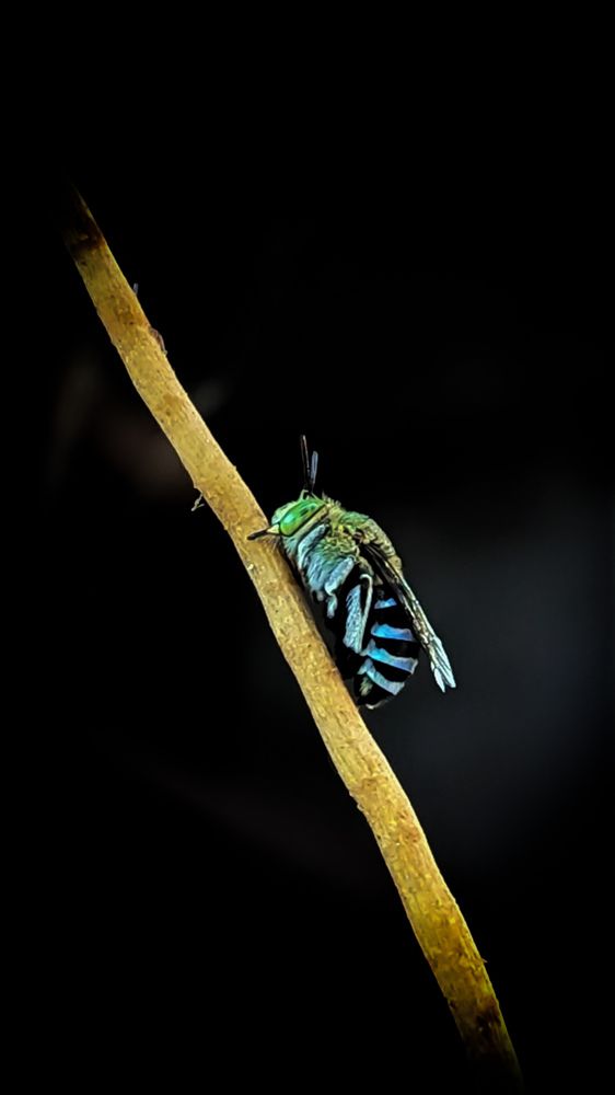 Photograph by SARAVANA MANICKAM