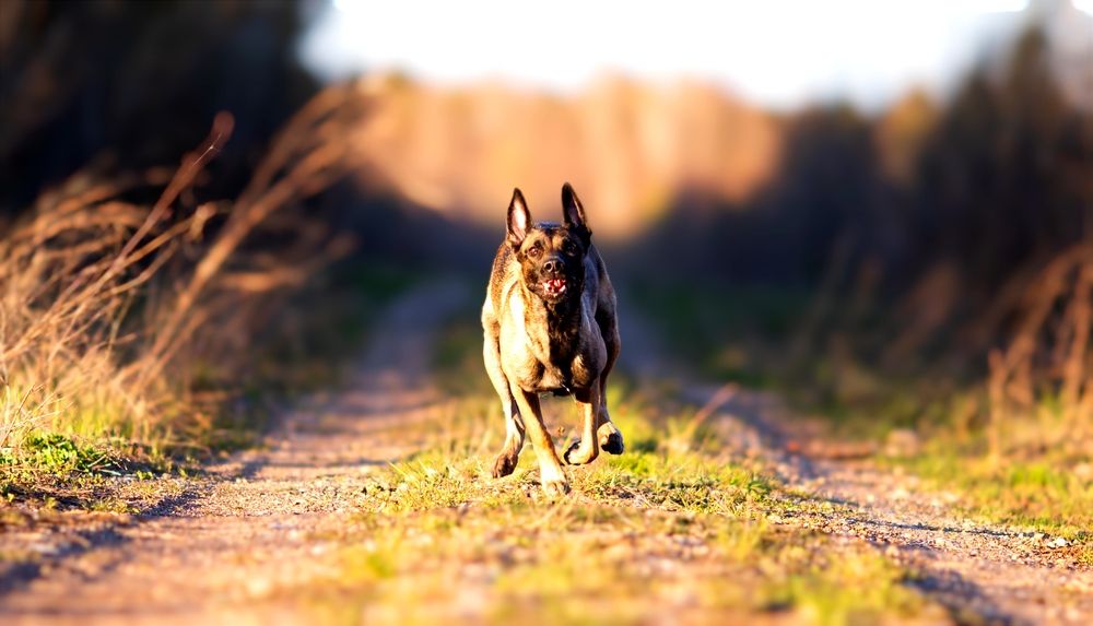 Photograph by Дарья